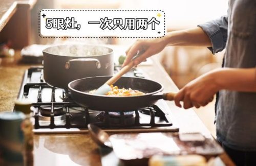 国外做饭灶具排名前十(车载做饭炉具)插图3