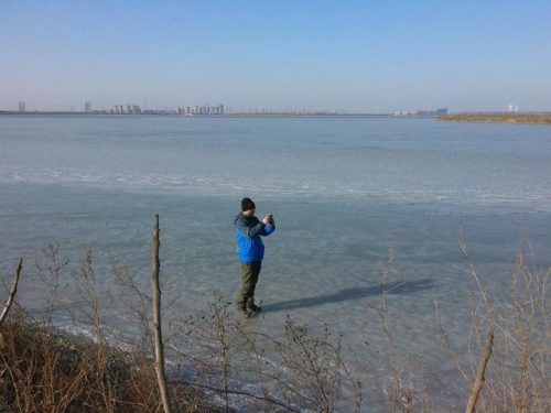 东丽湖度假村(东丽湖度假村值得买吗)插图22