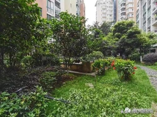 赣州精装豪宅排名前十(赣州豪宅推荐)插图12