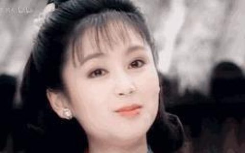 年纪气质女星排名前十(有气质的女明星排名)