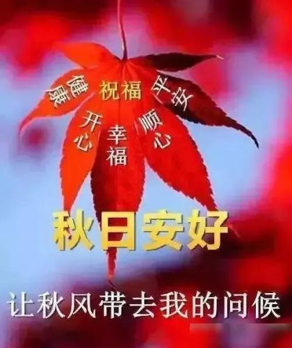 立秋图片大全高清(一叶知秋图片)插图21