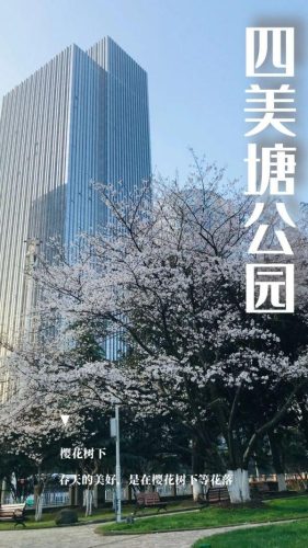 长江最美公园排名前十(长江湿地公园)插图37