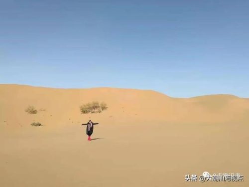国内沙漠植物排名前十(沙漠植物纪录片)插图6