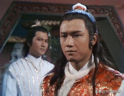 武侠明星(中国50位武打明星)插图10