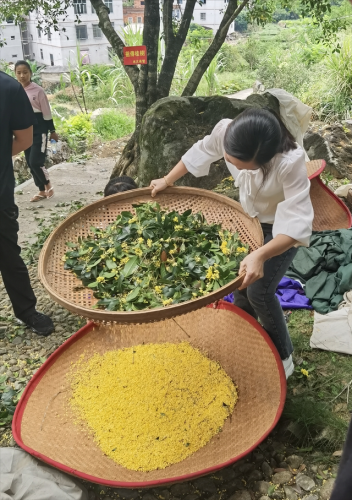 安溪偏僻村庄排名前十(安溪附近哪里比较偏僻)插图20