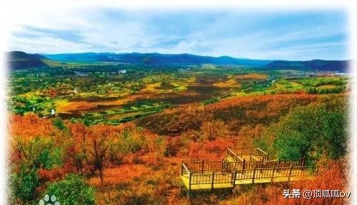 好玩的地方(水上乐园)插图24