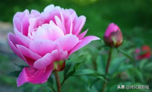 西昌游玩项目排名前十(西昌发射中心游玩攻略)插图28