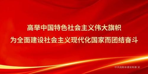 沈阳颈椎医生排名前十(沈阳徐丽辉医生)插图