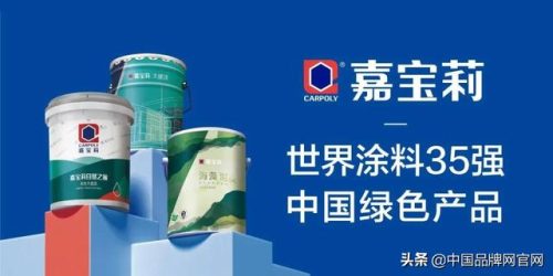 国内排名前十的油漆(中国环保漆十大排名榜)插图9