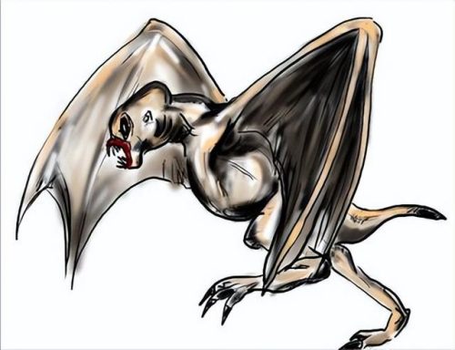 未知生物身高排名前十(最大的未知生物排行榜)插图10