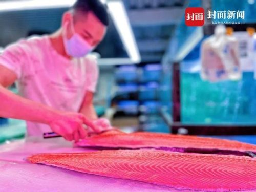 鲍鱼全国销量排名前十(全球汽车销量总榜)插图4