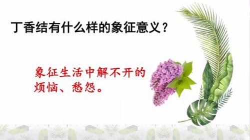 霜树尽空枝肠断丁香结(芭蕉不展丁香结同向春风各自愁)插图42
