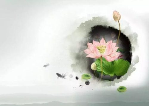 关于赞美荷花的诗句(荷花精美短句)插图1