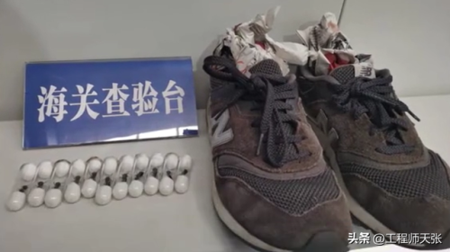 野蛮收获蚁(中国常见的50种蚂蚁图片)插图3