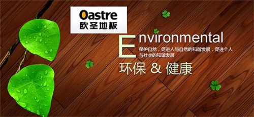 实木地板十大品牌(实木地板多少钱一平)插图9