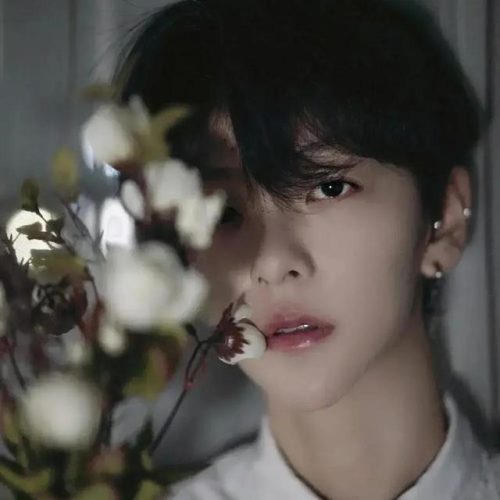 追光吧少年(做追光少年议论文800字)插图10