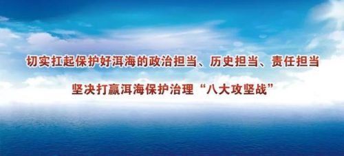 大理宠物餐厅排名前十(大理网红餐厅)插图14