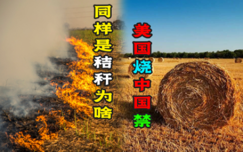 全球秸秆产量排名前十(粮食秸秆产量比例最高)