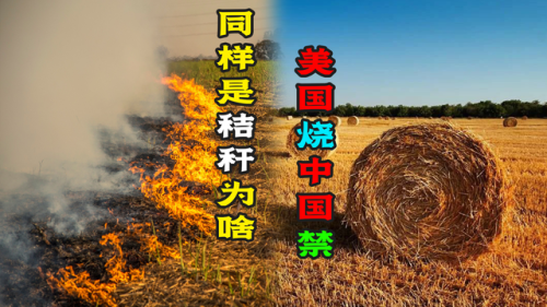 全球秸秆产量排名前十(粮食秸秆产量比例最高)插图