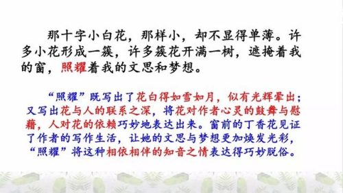 霜树尽空枝肠断丁香结(芭蕉不展丁香结同向春风各自愁)插图33