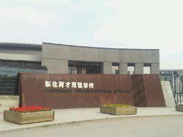 沈阳排名前十的中学(沈阳九十七中学好不好)插图8