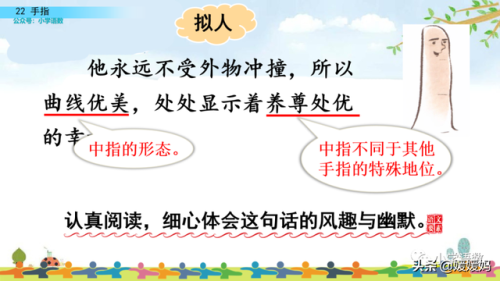 拇组词组(拇指的拇还能组哪些词)插图60