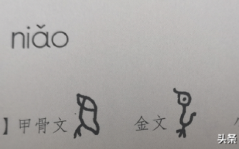 鸟的象形字(象形文字识别大全)