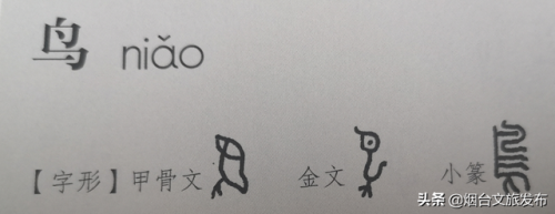鸟的象形字(象形文字识别大全)插图