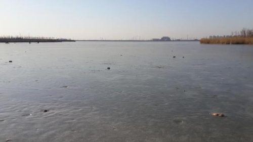 东丽湖度假村(东丽湖度假村值得买吗)插图34