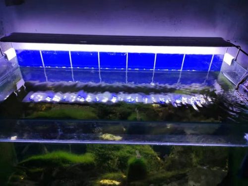 排名前十超静音增氧机(卖鱼增氧机十大排名)插图1