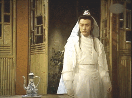 武侠明星(中国50位武打明星)插图25