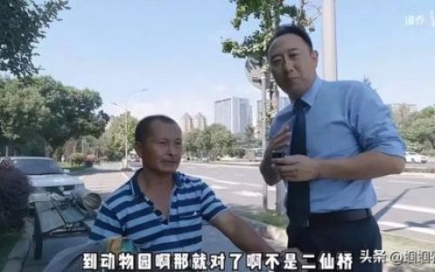 国内竞技综艺排名前十(竞技类综艺模式)