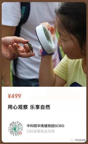 广州华南植物园好玩吗(去华南植物园要预约吗)插图5