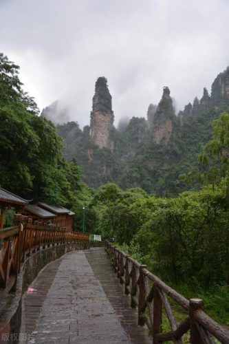 张家界著名旅游景点(张家界的旅游景点大全)插图33
