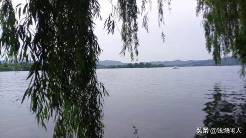 六爻占卜(六爻基础入门)插图