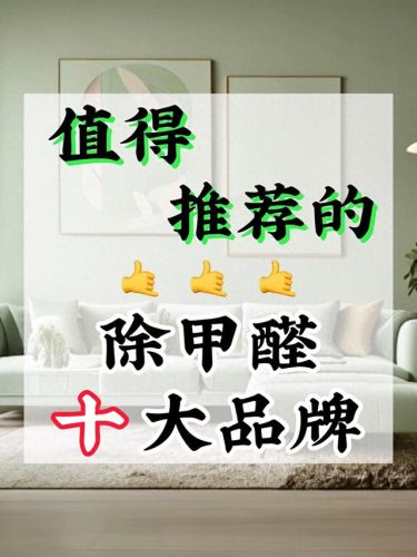 除甲醛十大品牌(除甲醛的空气净化器十大排名)插图