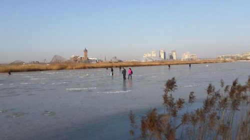 东丽湖度假村(东丽湖度假村值得买吗)插图37