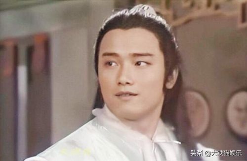 武侠明星(中国50位武打明星)插图11