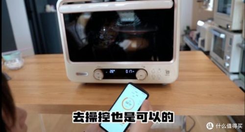 烤箱排名(烤箱什么牌子的最好)插图28