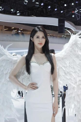 现代车型车模排名前十(上海现代汽车车模)插图16