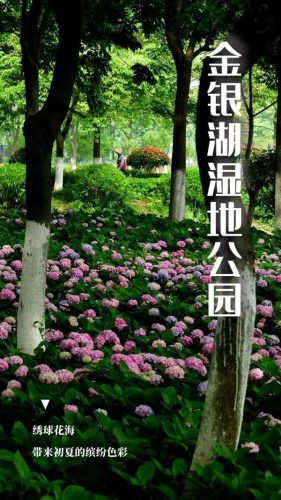 长江最美公园排名前十(长江湿地公园)插图33