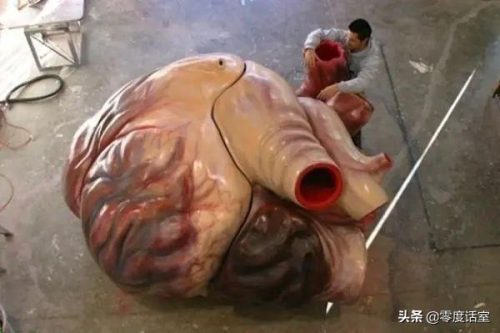 罗伯特纳维利斯(罗伯特·纳维利斯什么时候出生的)插图7