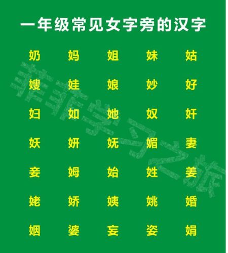 她字组词100个(他组词造句一年级简单)插图