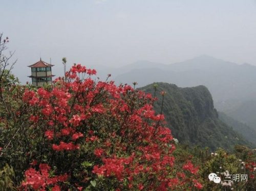 尤溪小众景点排名前十(三明尤溪台溪一线天旅游景点)插图27