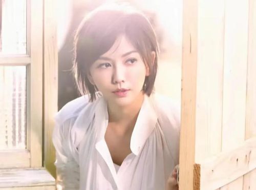 国内女歌手排名前十(中国长得最漂亮的女歌唱家)插图4