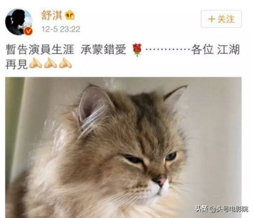 太极冯德伦(冯德伦综艺)插图26