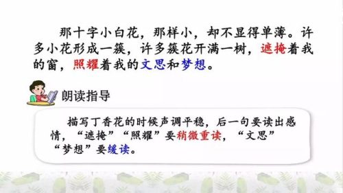 霜树尽空枝肠断丁香结(芭蕉不展丁香结同向春风各自愁)插图34
