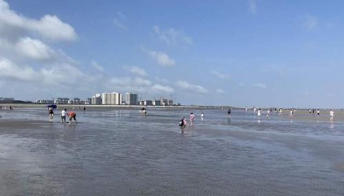 上海碧海金沙好玩吗(上海碧海金沙景区门票多少钱)插图3