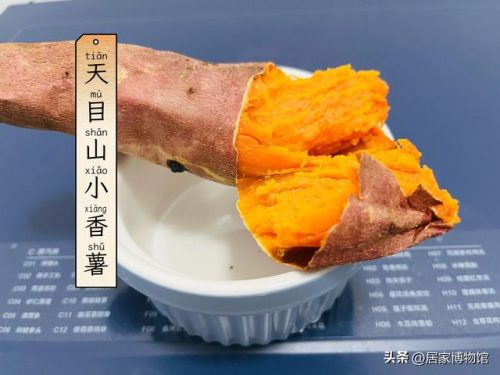排名前十的红薯品种(不同品种红薯的特点)插图10