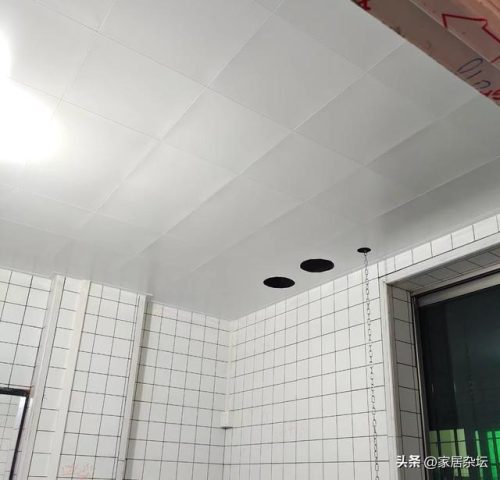 排名前十铝扣吊顶(铝扣板吊顶哪个品牌好)插图17